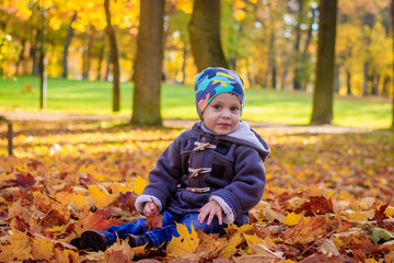 The boy sits in the autumn leaves in the park. Little boy. Very in the park. Golden autumn. Sunny day.