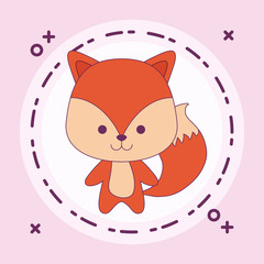 cute fox animal in frame circular