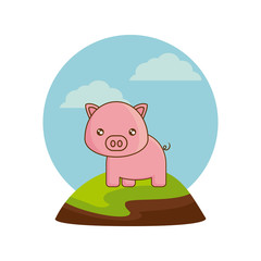 cute piggy animal in landscape natural