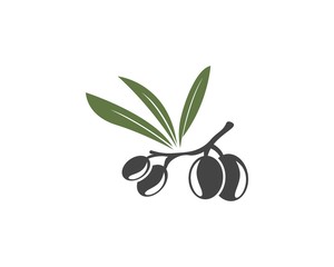 Olive oil logo vector illustration design template