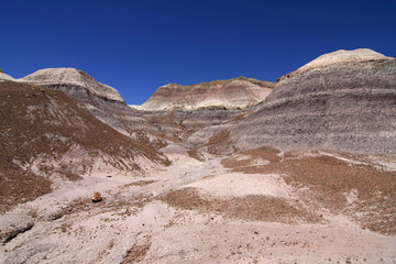 Badlands of the Painted Desert in Petrified Forest National Park, Arizona, under a cloudless summer sky.