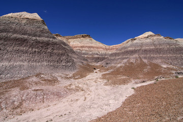 Badlands of the Painted Desert in Petrified Forest National Park, Arizona, under a cloudless summer...