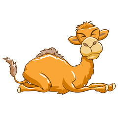 camel vector graphic design