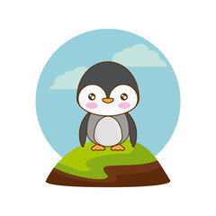 cute penguin animal in landscape natural