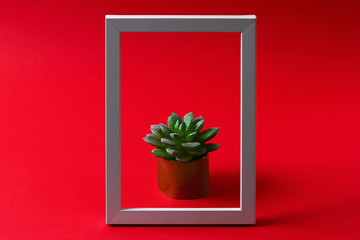 Artificial green succulent in golden pot toilet sleeve in white frame on a red burgundy background.