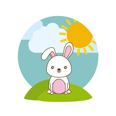 cute rabbit animal in landscape natural