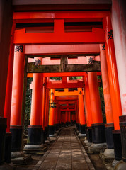 Fototapeta na wymiar Fushimi Inari-taisha Shrine in Kyoto, Japan