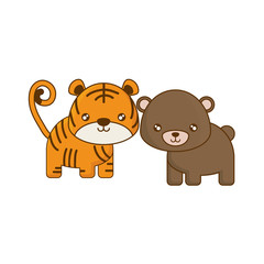 cute tiger with bear animals isolated icon