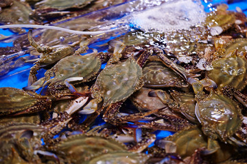 Various shellfishes at fish market