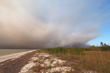 Smoke from a wildfire over the beach and Gulf of Mexico on East Cape Sable in Everglades National Park, Florida.