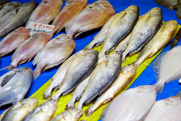 Fishes at Korean fish market 