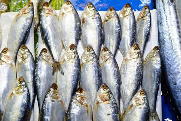 Fishes at Korean fish market 