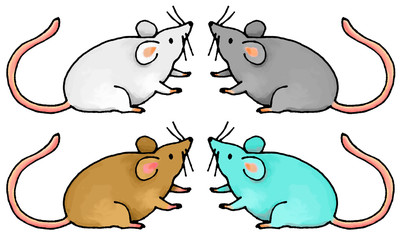 ネズミ　横向き　４色