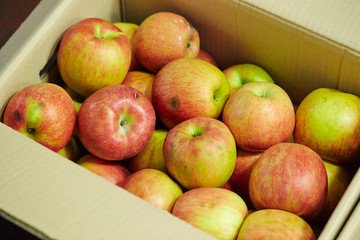 Piled up apples at fruit shop