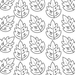 pattern of leafs naturals background