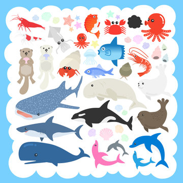ジンベイザメ Images Browse 622 Stock Photos Vectors And Video Adobe Stock
