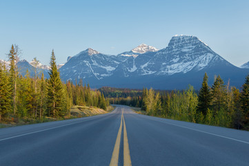 Fototapeta premium Evening road lined with trees leading to high mountains