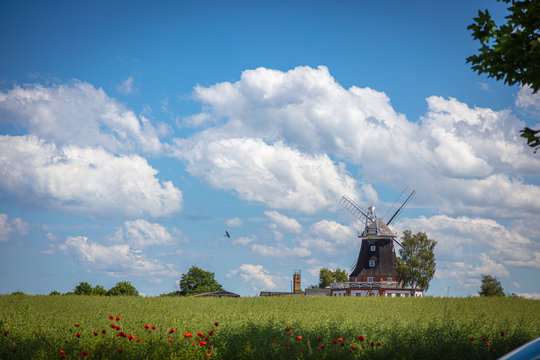 an old windmill stands on a canola field in front of a blue sky with white clouds