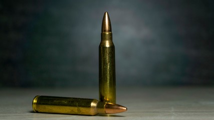 Rifle Ammunition - Gun Bullet Large Caliber  