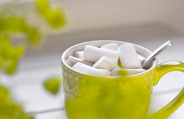  green cup of chocolate with marshmallow with green wild flowers 