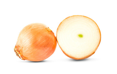 Ripe onion an isolated on a white background