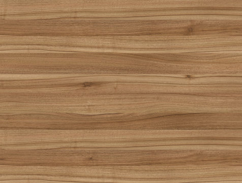Natural wood texture for interior