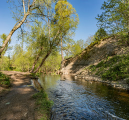 The Sablino nature reserve.