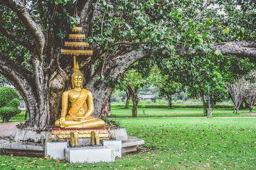 beautiful gold color buddha statue sitting under bodhi tree, copy space, peaceful, meditation or enlightenment concept
