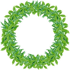Naklejka premium Lush luxury wreath of greenery with small leaves