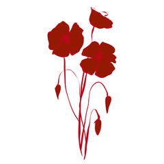 Red poppies. Vector flowers, abstract flowers.