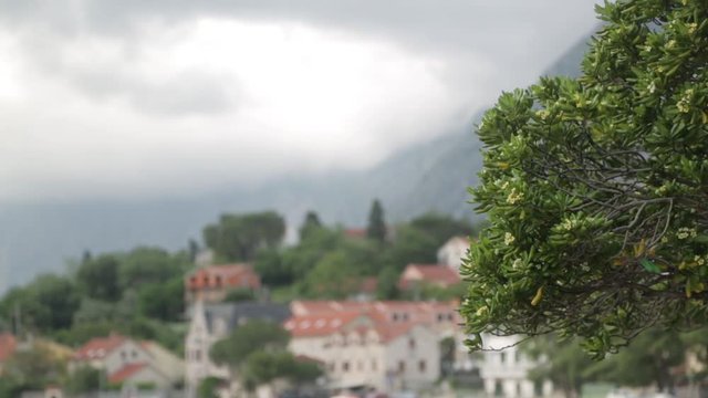 Attractions and the coastal town of Kotor. Panorama of the Gulf in Montenegro, Kindness.