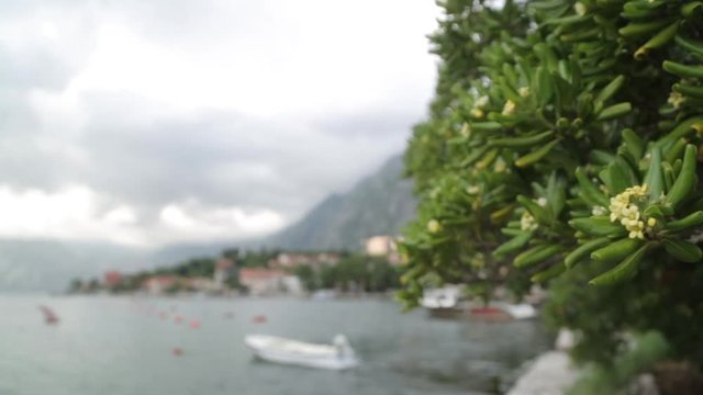 Attractions and the coastal town of Kotor. Panorama of the Gulf in Montenegro, Kindness.