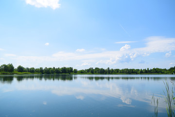 View of a large lake among the plants. Summer landscape.