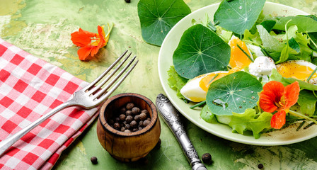 Summer nasturtium salad