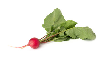 Red radish isolated on white background.