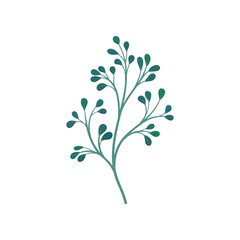 Dark green branchy stem with leaves. Vector illustration on white background.