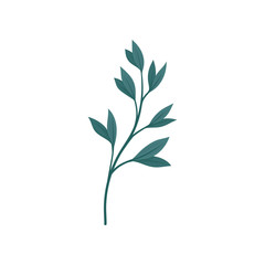 Dark green stem with leaves. Vector illustration on white background.