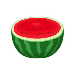 Half watermelon. Vector illustration on white background.