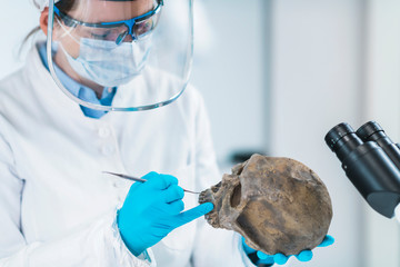 Ancient DNA Scientist Working in Bio Archaeology Lab