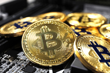 Golden bitcoins on computer circuit board, closeup