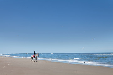 Horseriding at Island of Vlieland. Waddenzee. Dunes and beach. Dutch coast