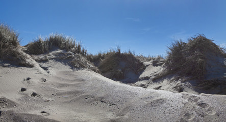 Fototapeta na wymiar Island of Vlieland. Waddenzee. Dunes and beach. Dutch coast