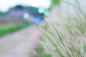 Jaratpong Photographer 