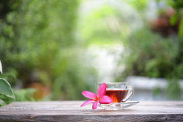 cup of tea with flower at outdoor