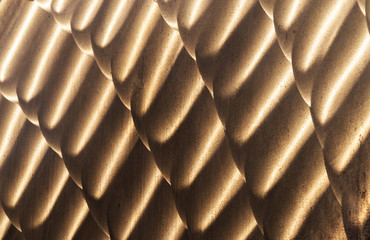 Goldfächer