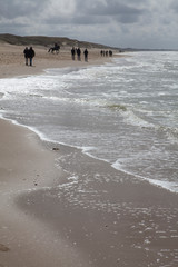 Dutch coast. Beach and dunes at Northsea Netherlands. Clouds.