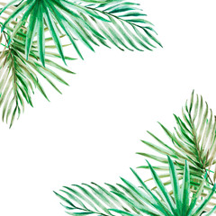 Fototapeta premium Beautiful tropical leaves frame. Palm. Watercolor painting. Exotic plant. Natural print. Sketch drawing. Botanical composition. Greeting card. Painted background. Hand drawn illustration.