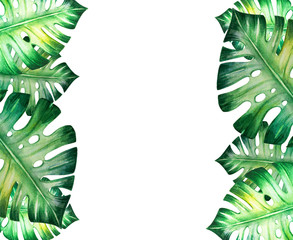 Fototapeta na wymiar Beautiful tropical leaves frame. Monstera, palm. Watercolor painting. Exotic plant. Natural print. Sketch drawing. Botanical composition. Greeting card. Painted background. Hand drawn illustration.