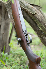 Old Rifle Resting Against a Forrest Tree