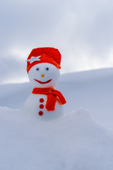 Image of a snowman. Handiwork.